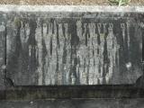 image of grave number 455157